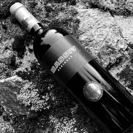 酒店 Germania 伊施格尔