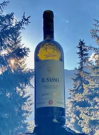 ホテル Germania 4*